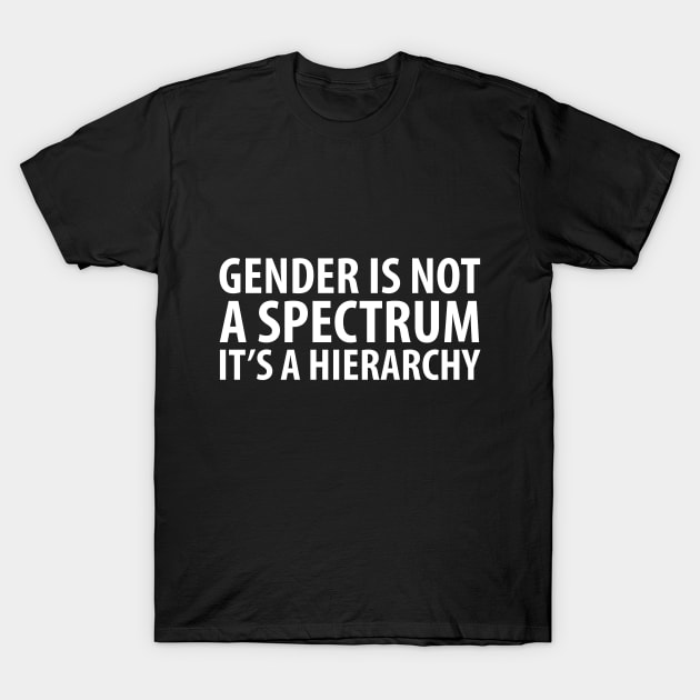 Gender is not a spectrum. It's a Hierarchy. (white) T-Shirt by Everyday Inspiration